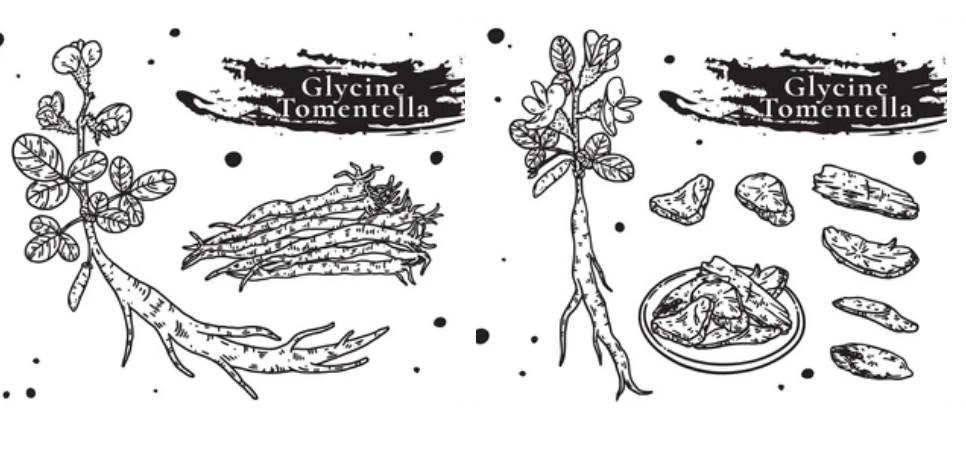 走訪福建漳州文圃山發現闊葉大豆Glycine tomentella 的蹤跡 4 07