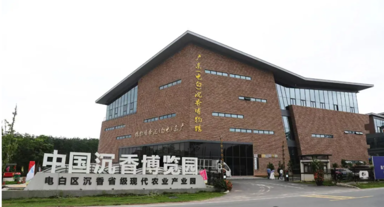 2025年走訪“中國沉香之鄉”廣東茂名市電白區觀珠鎮“世界香都·浪漫電白” 6 01.中国沉香博览园 1