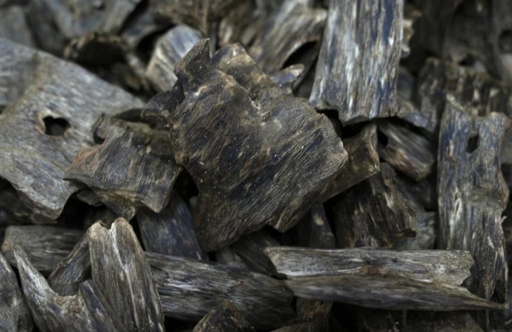 2025年走訪“中國沉香之鄉”廣東茂名市電白區觀珠鎮“世界香都·浪漫電白” 6 05