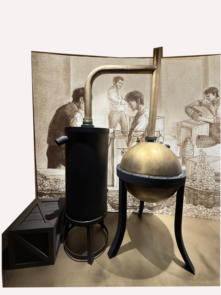 廣州時尚氣味博物館開啟中國嗅覺香水市場新商機 6 07