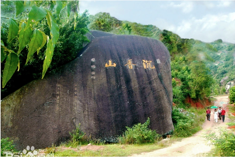 2025年走訪“中國沉香之鄉”廣東茂名市電白區觀珠鎮“世界香都·浪漫電白” 9 07.沉香山