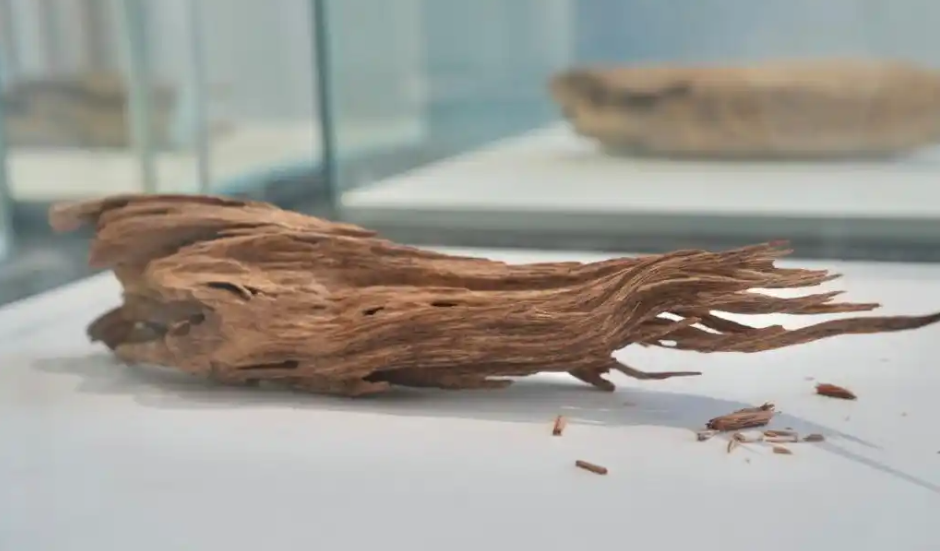 2025年走訪“中國沉香之鄉”廣東茂名市電白區觀珠鎮“世界香都·浪漫電白” 10 08