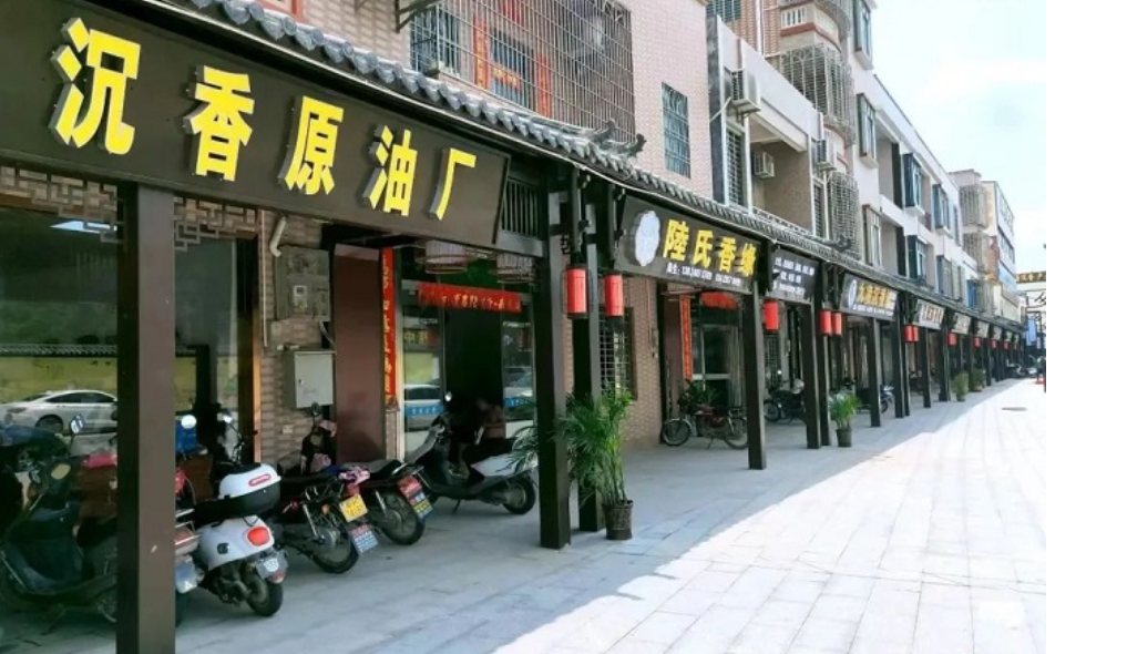 2025年走訪“中國沉香之鄉”廣東茂名市電白區觀珠鎮“世界香都·浪漫電白” 15 13