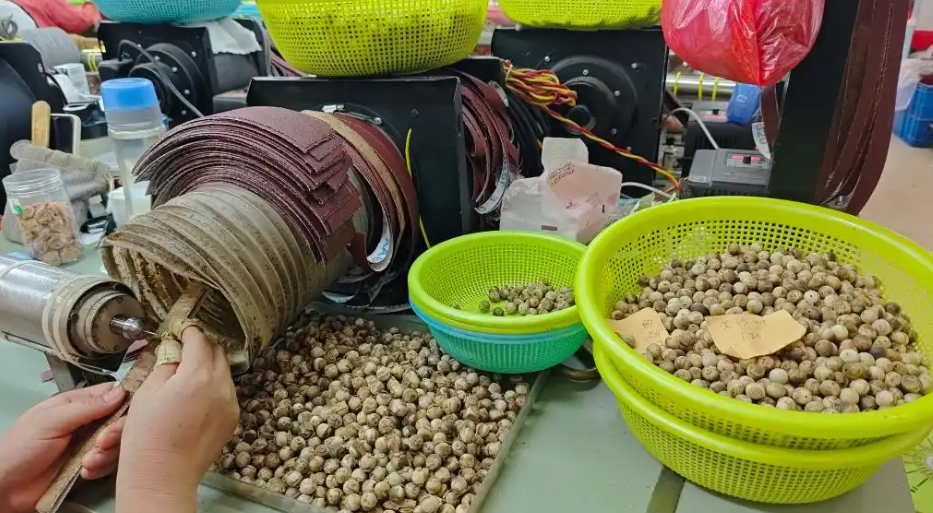 2025年走訪“中國沉香之鄉”廣東茂名市電白區觀珠鎮“世界香都·浪漫電白” 16 14