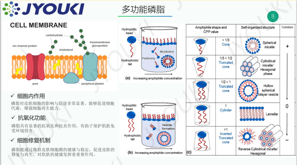 2025 榮格·配方大師獎-面霜組 3 图片1