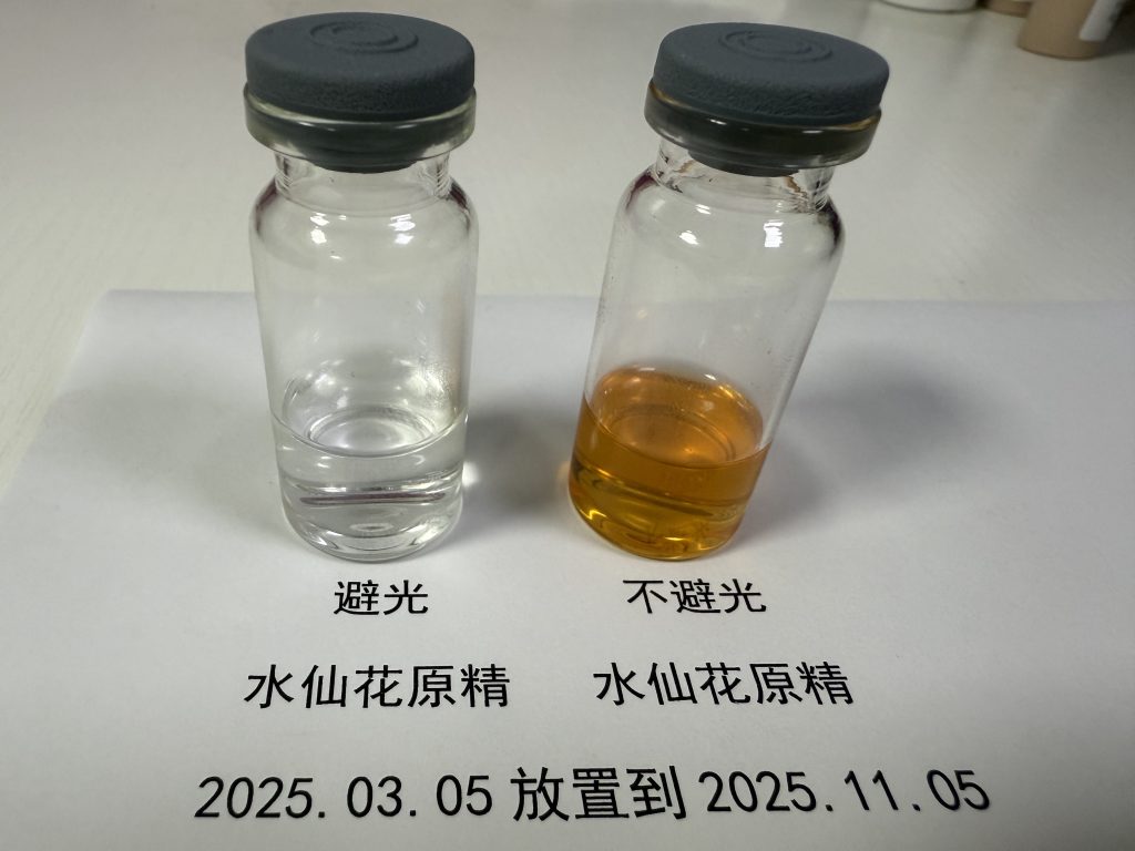 溯源真正漳洲水仙花品種製作水仙花精油 3 01