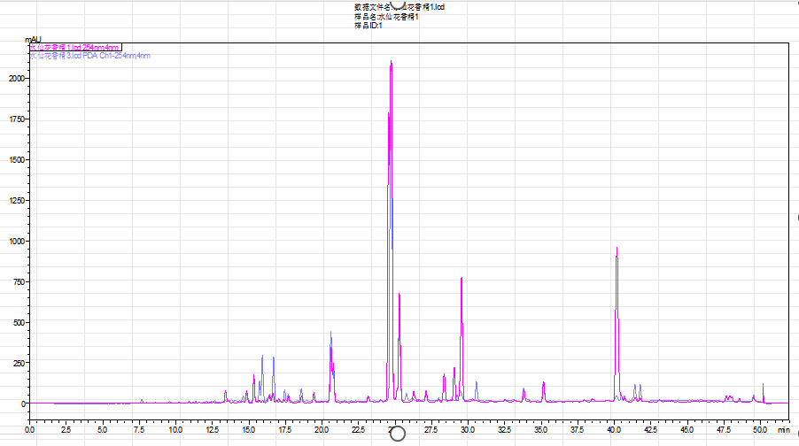 溯源真正漳洲水仙花品種製作水仙花精油 4 02 1